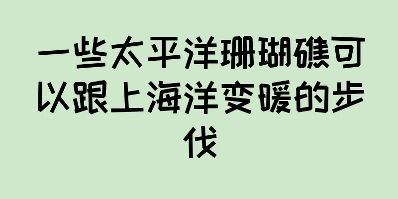一些太平洋珊瑚礁可以跟上海洋变暖的步伐