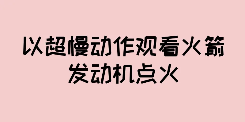以超慢动作观看火箭发动机点火