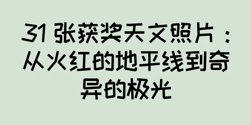 31 张获奖天文照片：从火红的地平线到奇异的极光