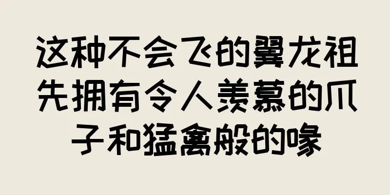 这种不会飞的翼龙祖先拥有令人羡慕的爪子和猛禽般的喙