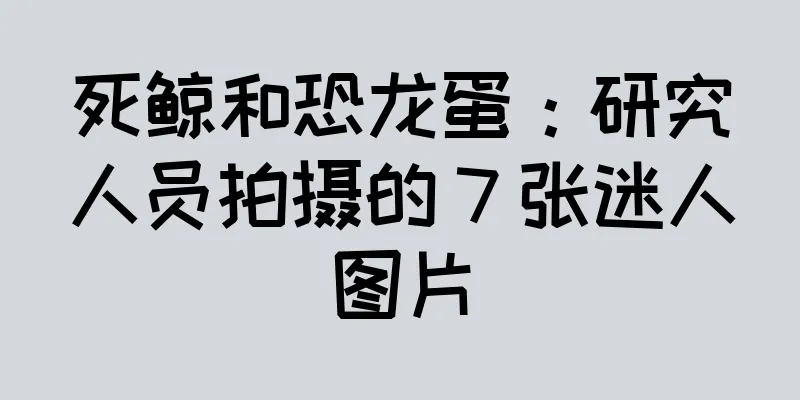 死鲸和恐龙蛋：研究人员拍摄的 7 张迷人图片