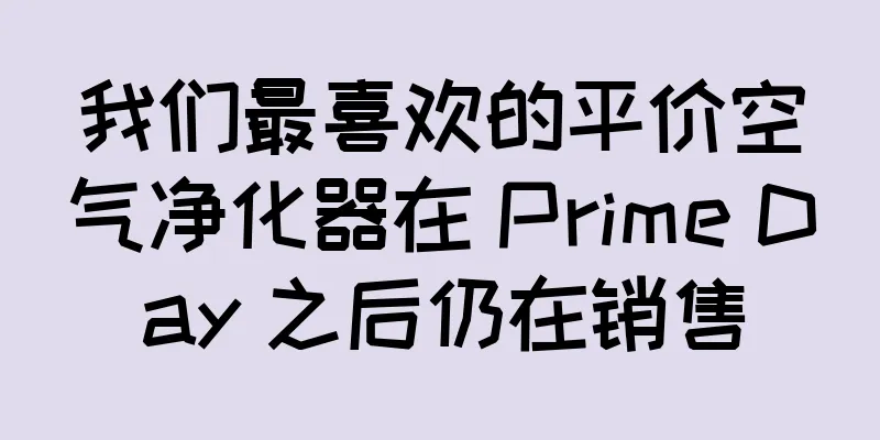 我们最喜欢的平价空气净化器在 Prime Day 之后仍在销售