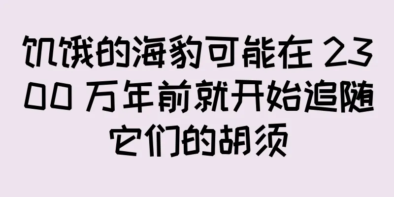 饥饿的海豹可能在 2300 万年前就开始追随它们的胡须