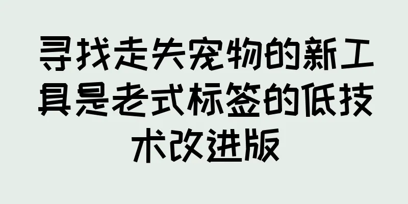 寻找走失宠物的新工具是老式标签的低技术改进版