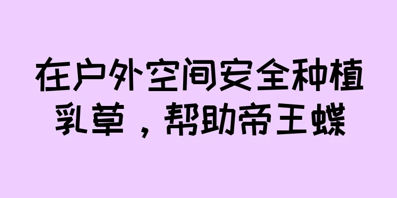 在户外空间安全种植乳草，帮助帝王蝶