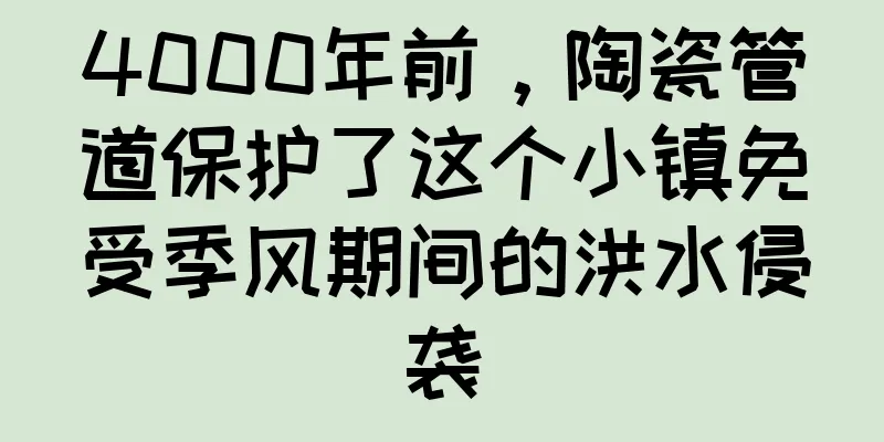 4000年前，陶瓷管道保护了这个小镇免受季风期间的洪水侵袭