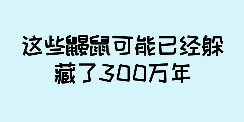 这些鼹鼠可能已经躲藏了300万年