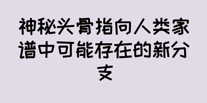 神秘头骨指向人类家谱中可能存在的新分支