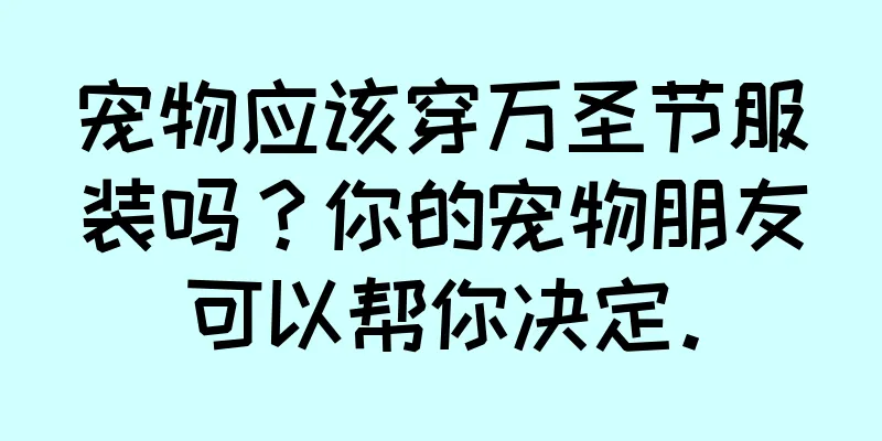 宠物应该穿万圣节服装吗？你的宠物朋友可以帮你决定。