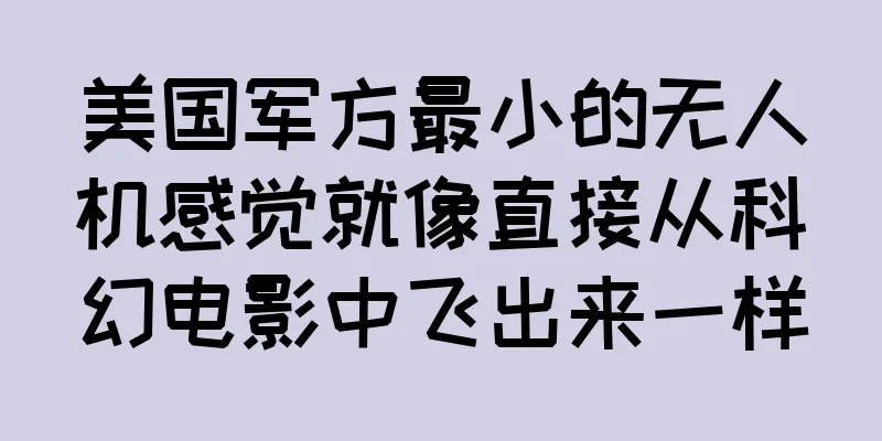 美国军方最小的无人机感觉就像直接从科幻电影中飞出来一样