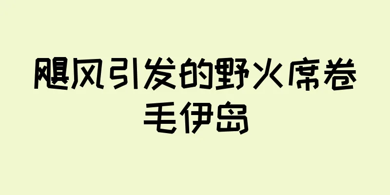 飓风引发的野火席卷毛伊岛