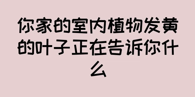 你家的室内植物发黄的叶子正在告诉你什么