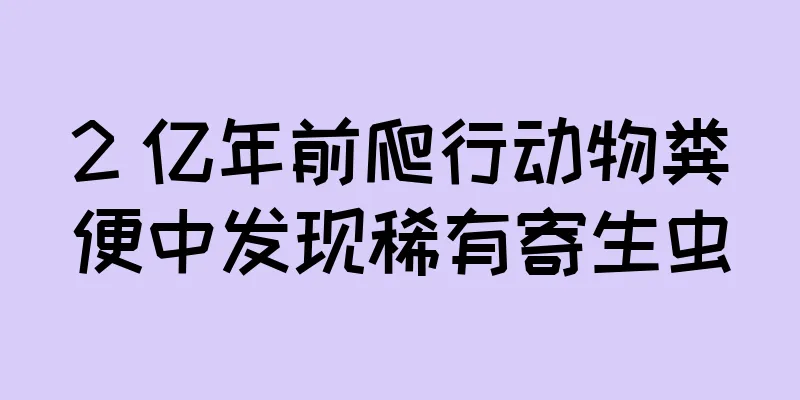 2 亿年前爬行动物粪便中发现稀有寄生虫