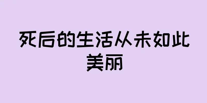 死后的生活从未如此美丽