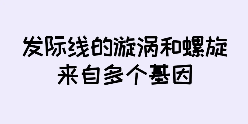 发际线的漩涡和螺旋来自多个基因