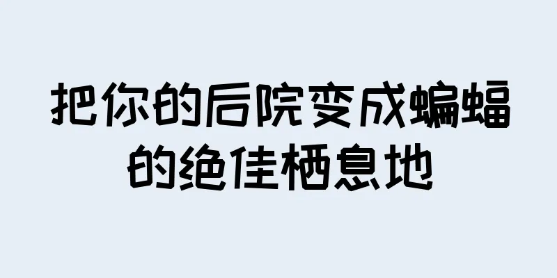 把你的后院变成蝙蝠的绝佳栖息地