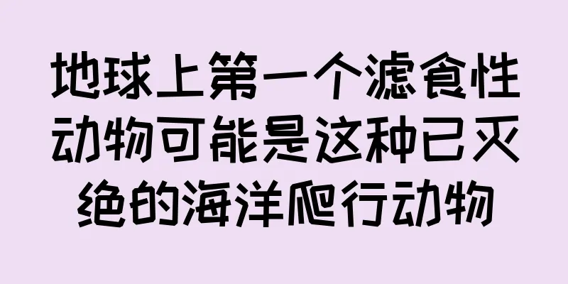 地球上第一个滤食性动物可能是这种已灭绝的海洋爬行动物