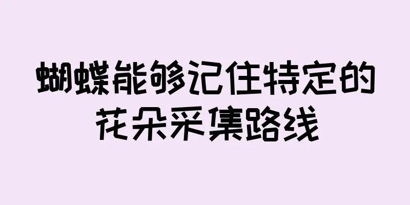 蝴蝶能够记住特定的花朵采集路线