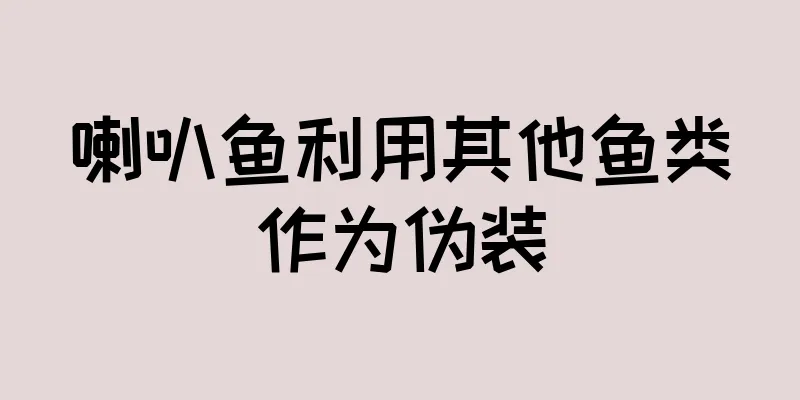 喇叭鱼利用其他鱼类作为伪装