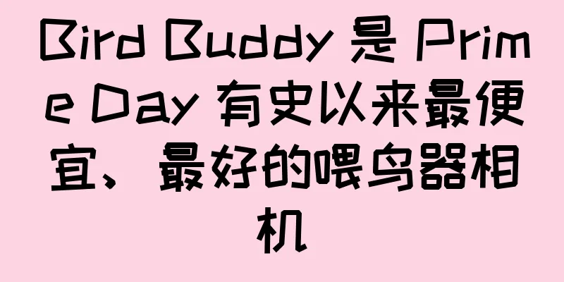 Bird Buddy 是 Prime Day 有史以来最便宜、最好的喂鸟器相机
