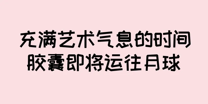 充满艺术气息的时间胶囊即将运往月球