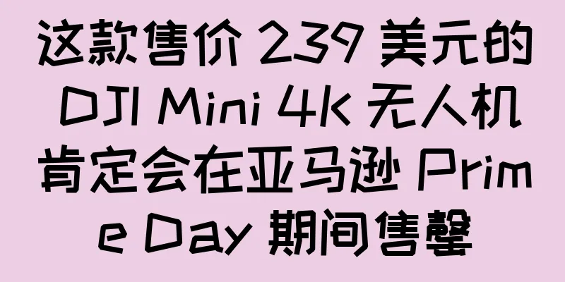 这款售价 239 美元的 DJI Mini 4K 无人机肯定会在亚马逊 Prime Day 期间售罄