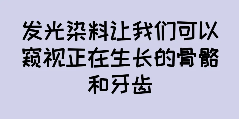 发光染料让我们可以窥视正在生长的骨骼和牙齿