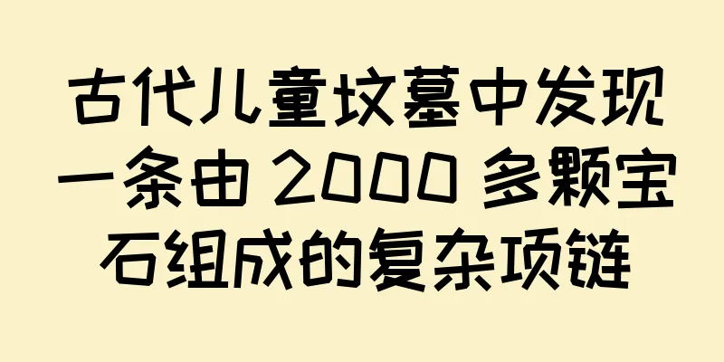 古代儿童坟墓中发现一条由 2000 多颗宝石组成的复杂项链