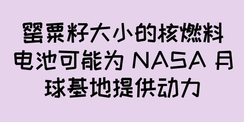 罂粟籽大小的核燃料电池可能为 NASA 月球基地提供动力