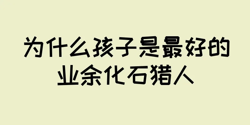 为什么孩子是最好的业余化石猎人