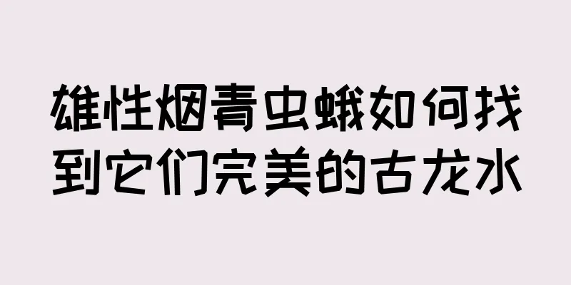 雄性烟青虫蛾如何找到它们完美的古龙水