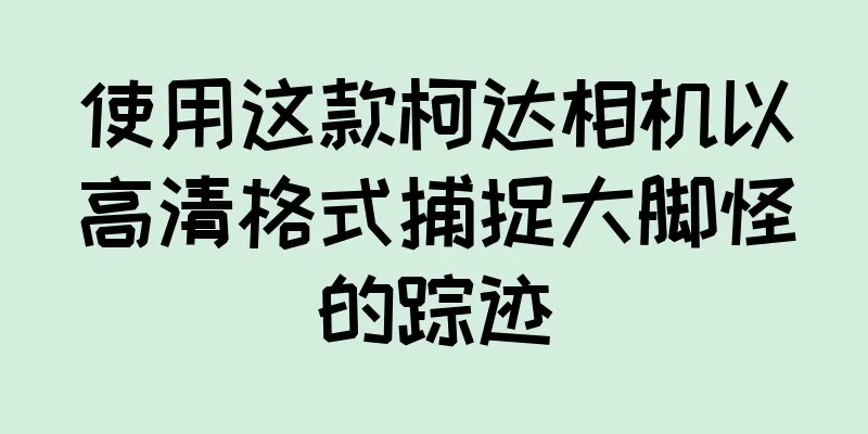 使用这款柯达相机以高清格式捕捉大脚怪的踪迹