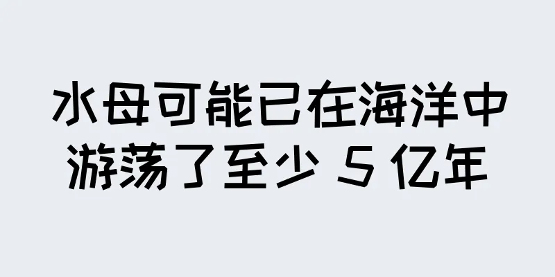 水母可能已在海洋中游荡了至少 5 亿年