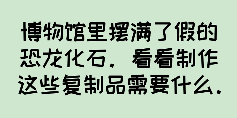 博物馆里摆满了假的恐龙化石。看看制作这些复制品需要什么。