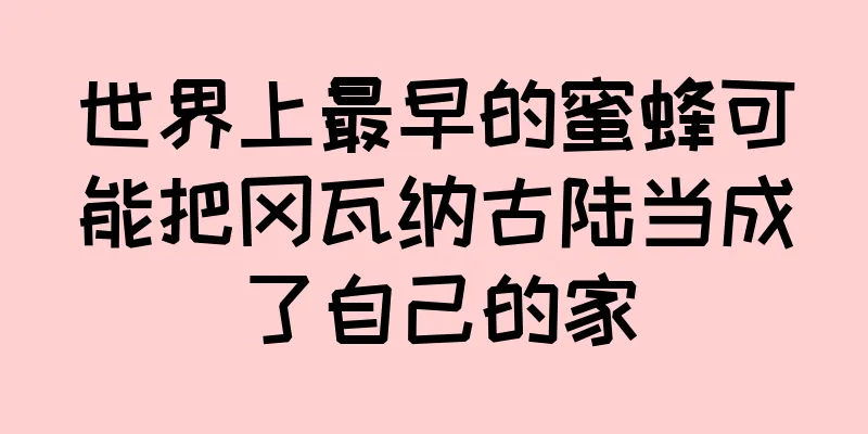 世界上最早的蜜蜂可能把冈瓦纳古陆当成了自己的家