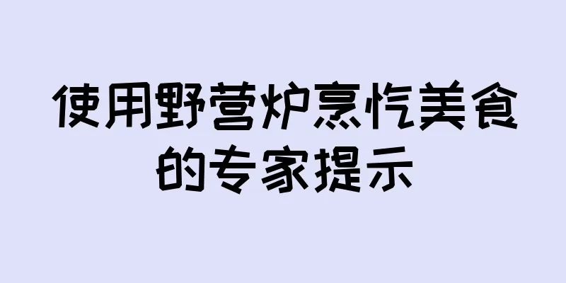 使用野营炉烹饪美食的专家提示