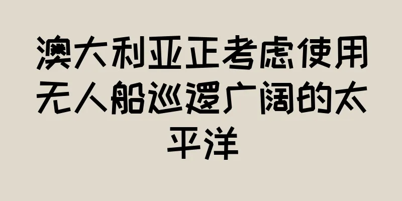 澳大利亚正考虑使用无人船巡逻广阔的太平洋