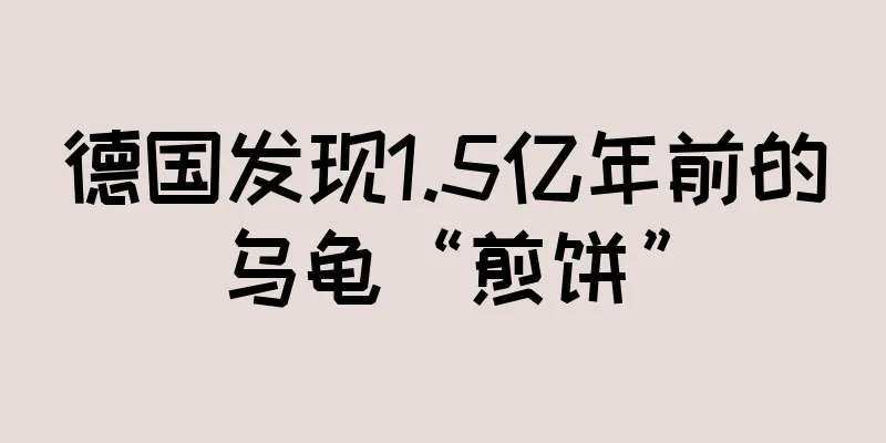德国发现1.5亿年前的乌龟“煎饼”