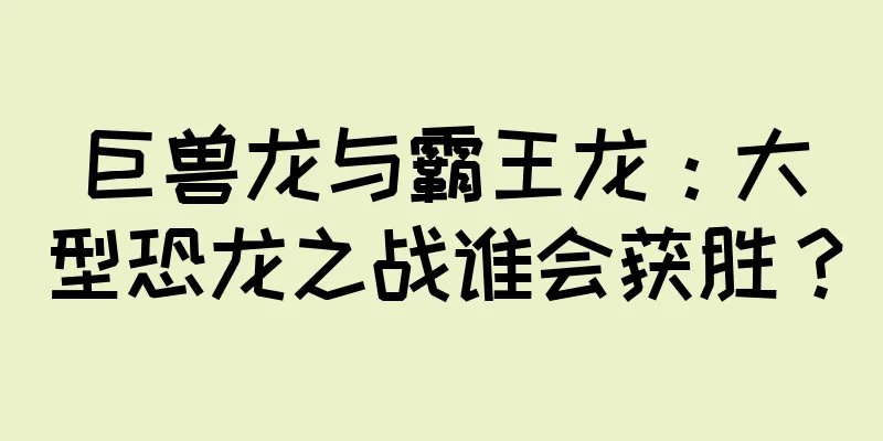 巨兽龙与霸王龙：大型恐龙之战谁会获胜？
