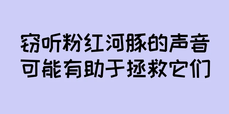 窃听粉红河豚的声音可能有助于拯救它们