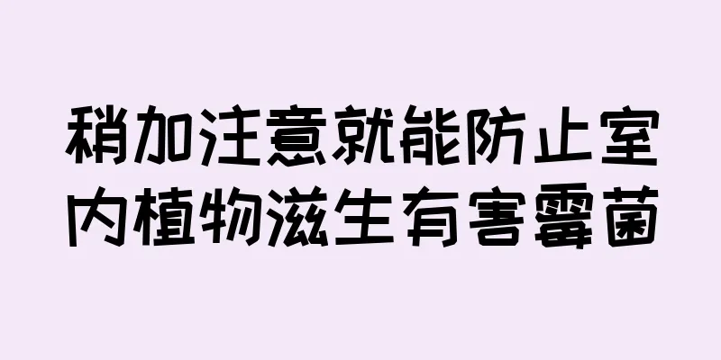 稍加注意就能防止室内植物滋生有害霉菌