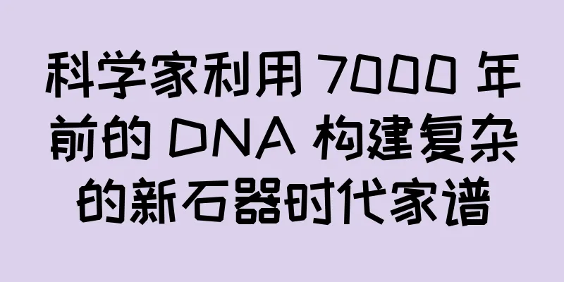 科学家利用 7000 年前的 DNA 构建复杂的新石器时代家谱