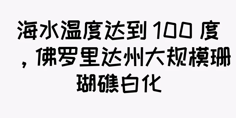 海水温度达到 100 度，佛罗里达州大规模珊瑚礁白化