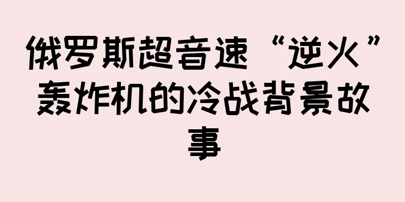 俄罗斯超音速“逆火”轰炸机的冷战背景故事
