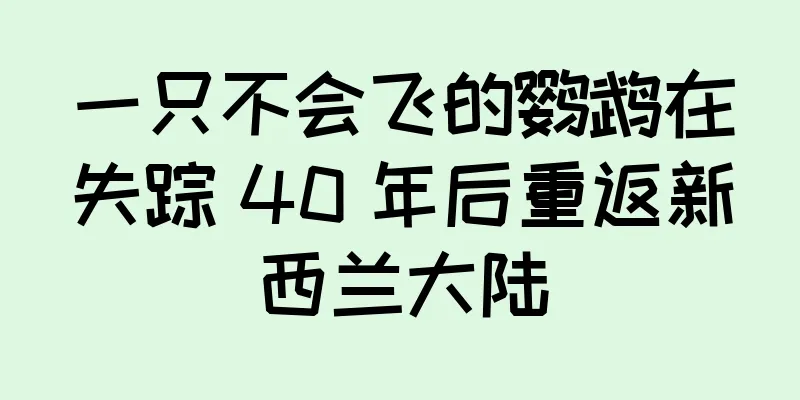 一只不会飞的鹦鹉在失踪 40 年后重返新西兰大陆