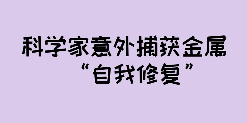 科学家意外捕获金属“自我修复”