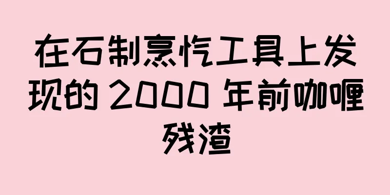 在石制烹饪工具上发现的 2000 年前咖喱残渣