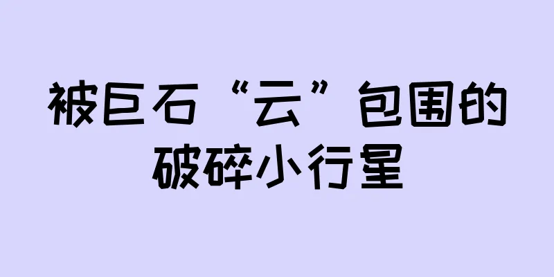 被巨石“云”包围的破碎小行星