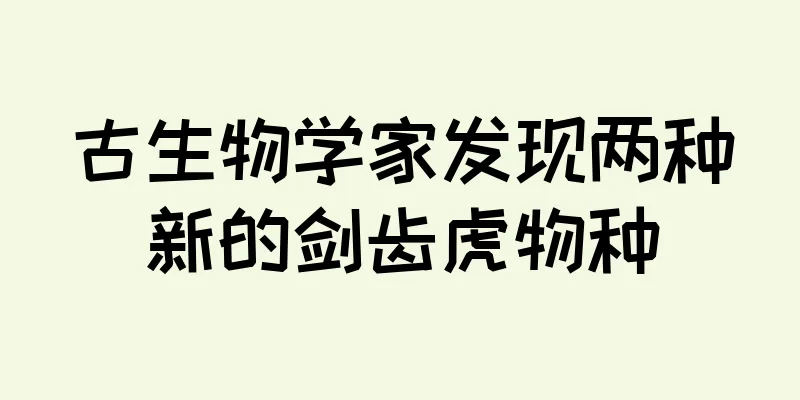 古生物学家发现两种新的剑齿虎物种