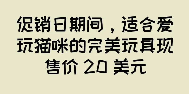 促销日期间，适合爱玩猫咪的完美玩具现售价 20 美元